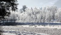 071229_StUlrich_2654.jpg