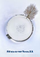 101228_Icking_Pano2_Snowball.jpg