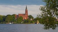 110613_Mueritz_Roebel_6447.jpg